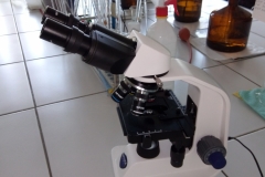 mikroskop-1